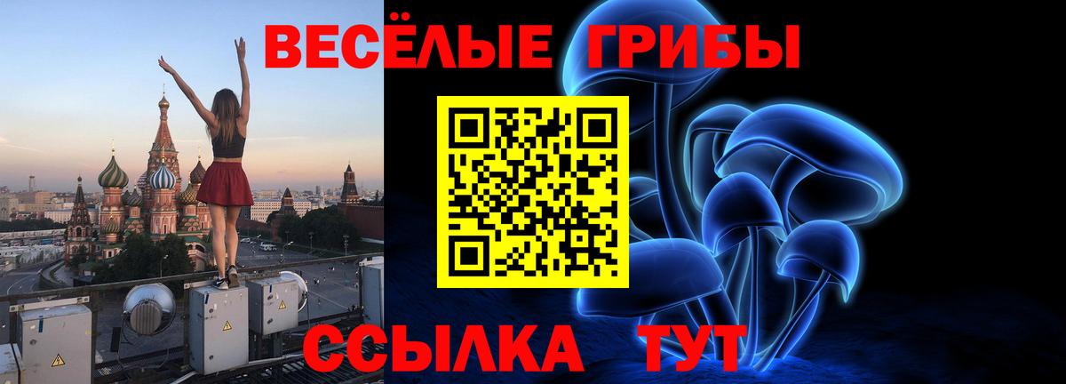 Галлюциногенные грибы GOLDEN TEACHER  где купить наркоту  Вход с VPN  Москва  Галлюциногенные грибы мухоморы 